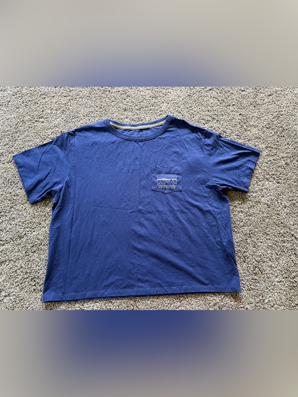 Patagonia Women’s ‘73 Skyline Organic Cotton Easy Cut Pocket Tee Size L NWT